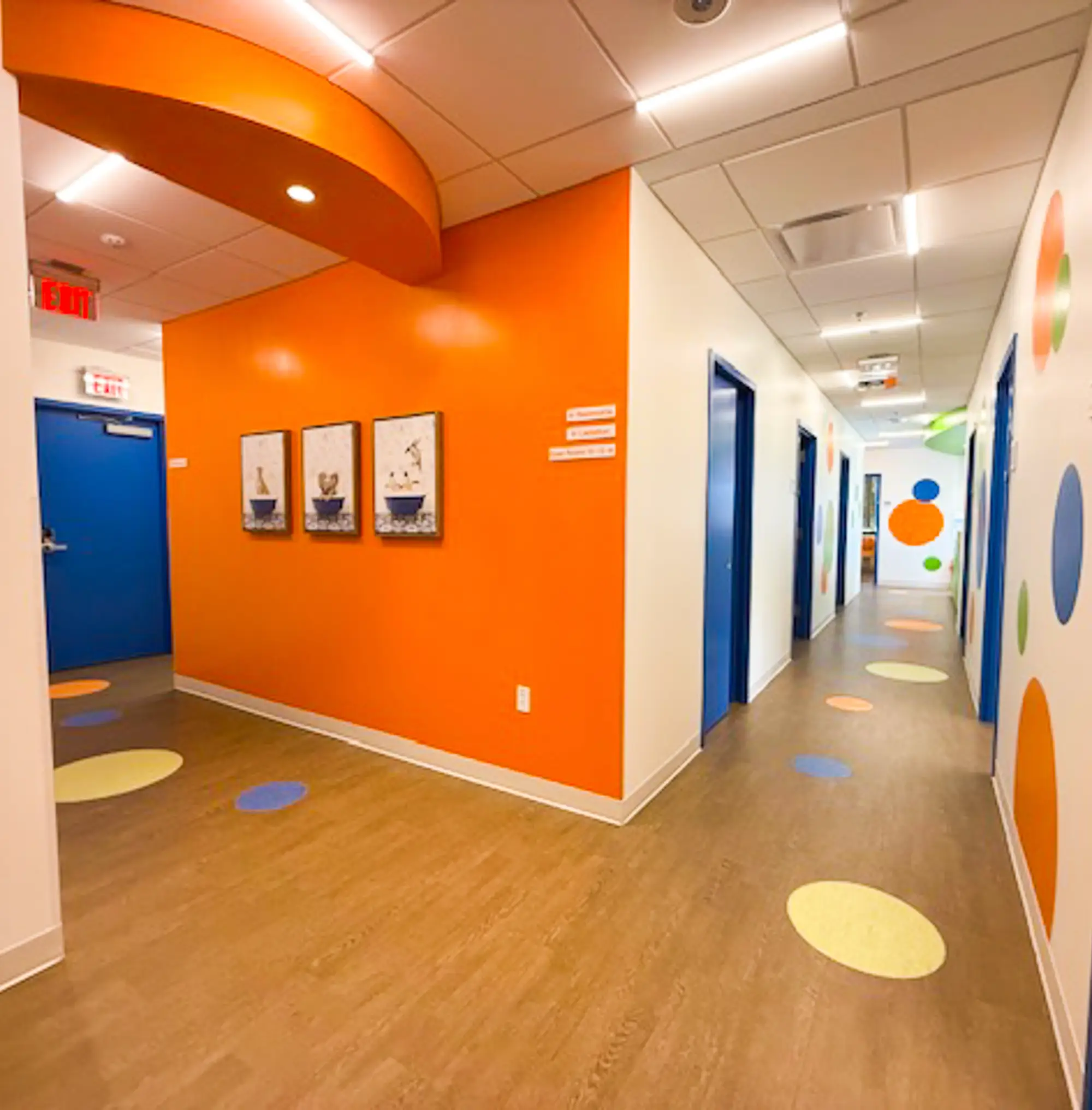 Fairfax Pediatric Associates IMG